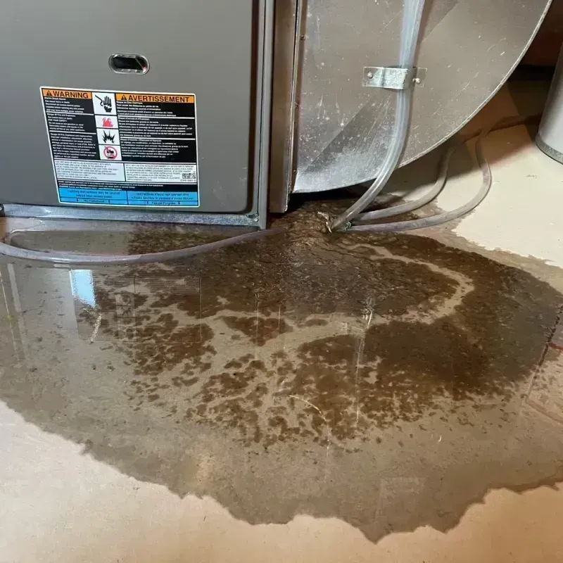 Appliance Leak Cleanup in Cherokee, AL